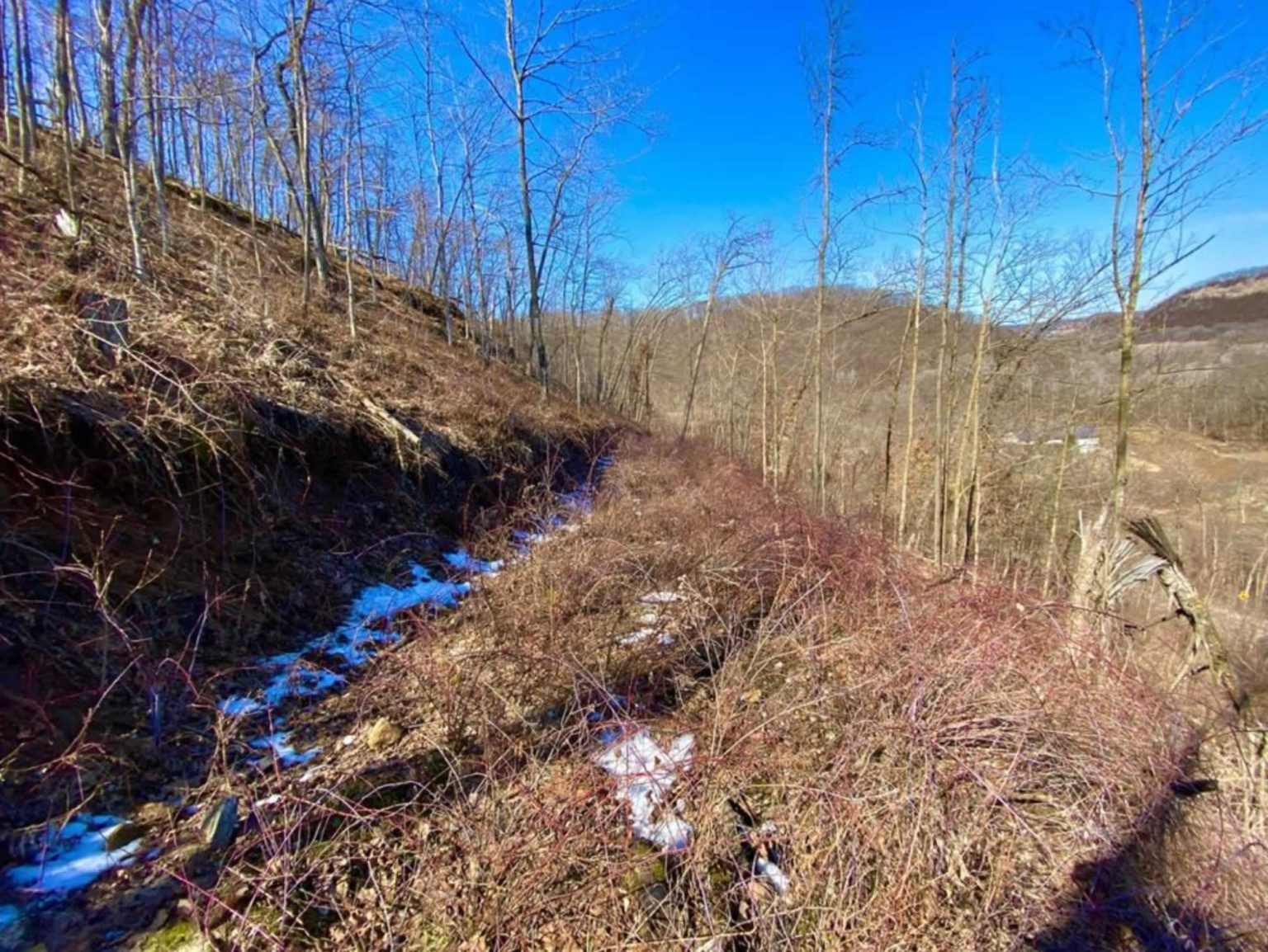 51acre hunting property near Peterson within Fillmore County, MN