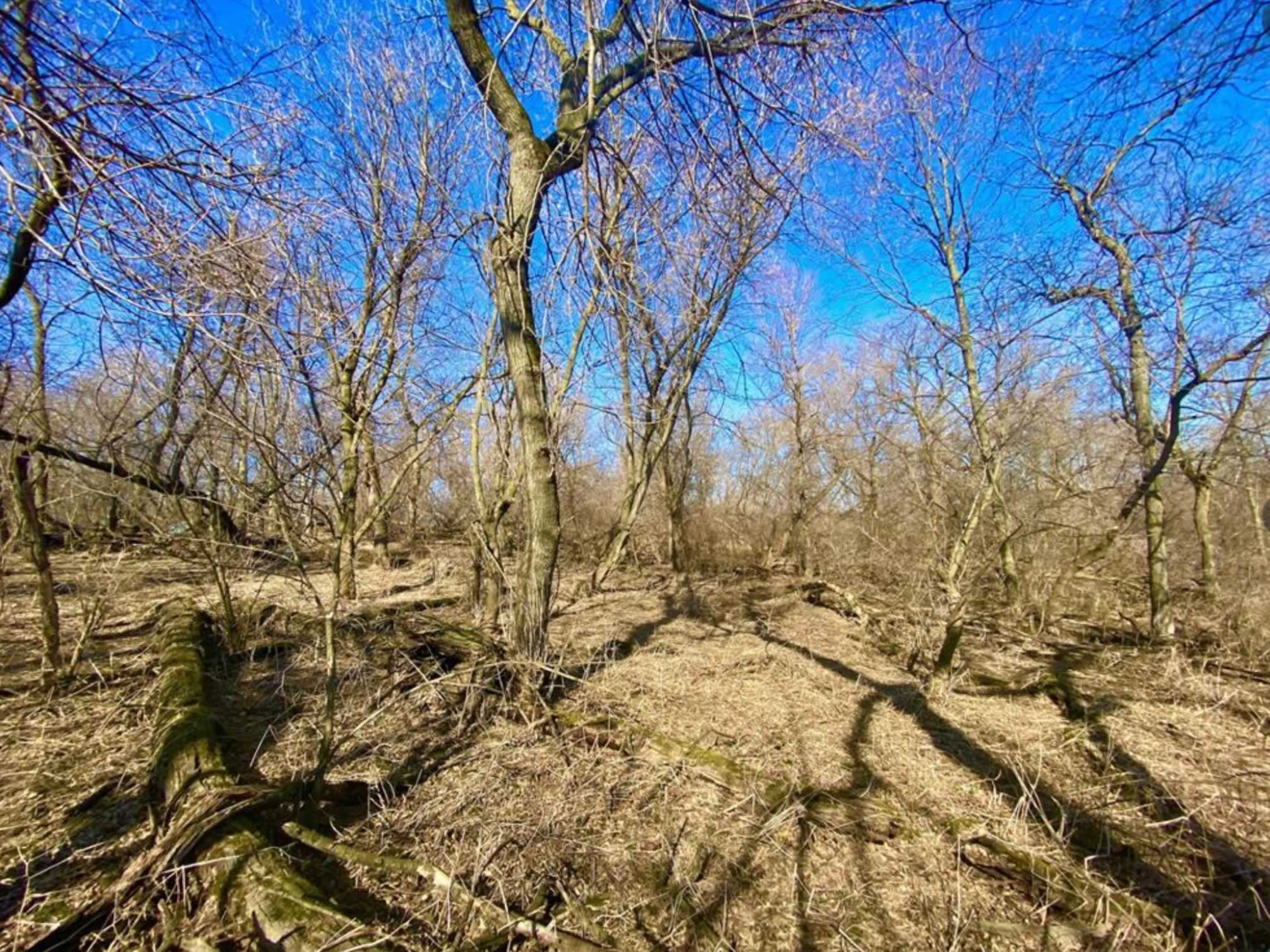 51acre hunting property near Peterson within Fillmore County, MN